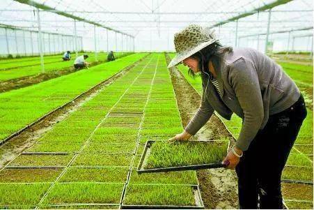 中国农民丰收节,来看看支持农业发展的税收优惠政策吧