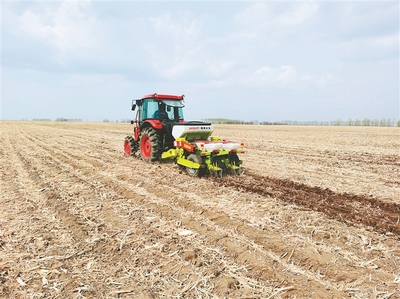 高标准农田获丰收 转型发展底气足