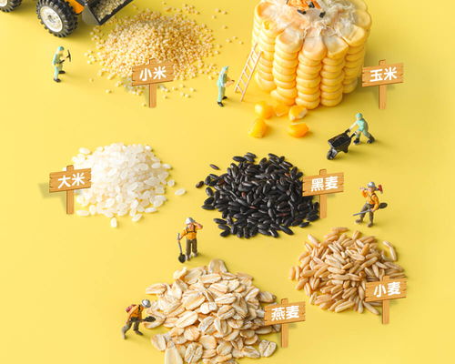 融资丨儿童食品品牌 小黄象 获真格基金数千万人民币投资