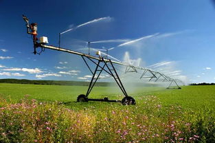 穿越半个地球,看美国农民怎们种地