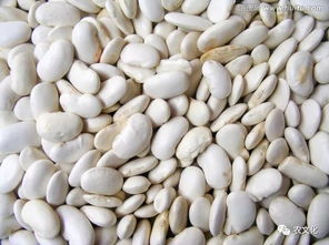 天天杂粮吃出痛风？这种夏季最养人的谷物，原来应该这么吃