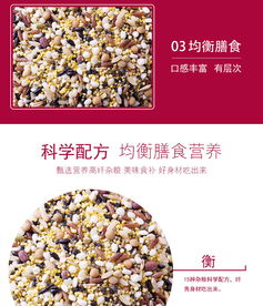 750g米饭伴侣配方谷物制品 纤秀15 qx